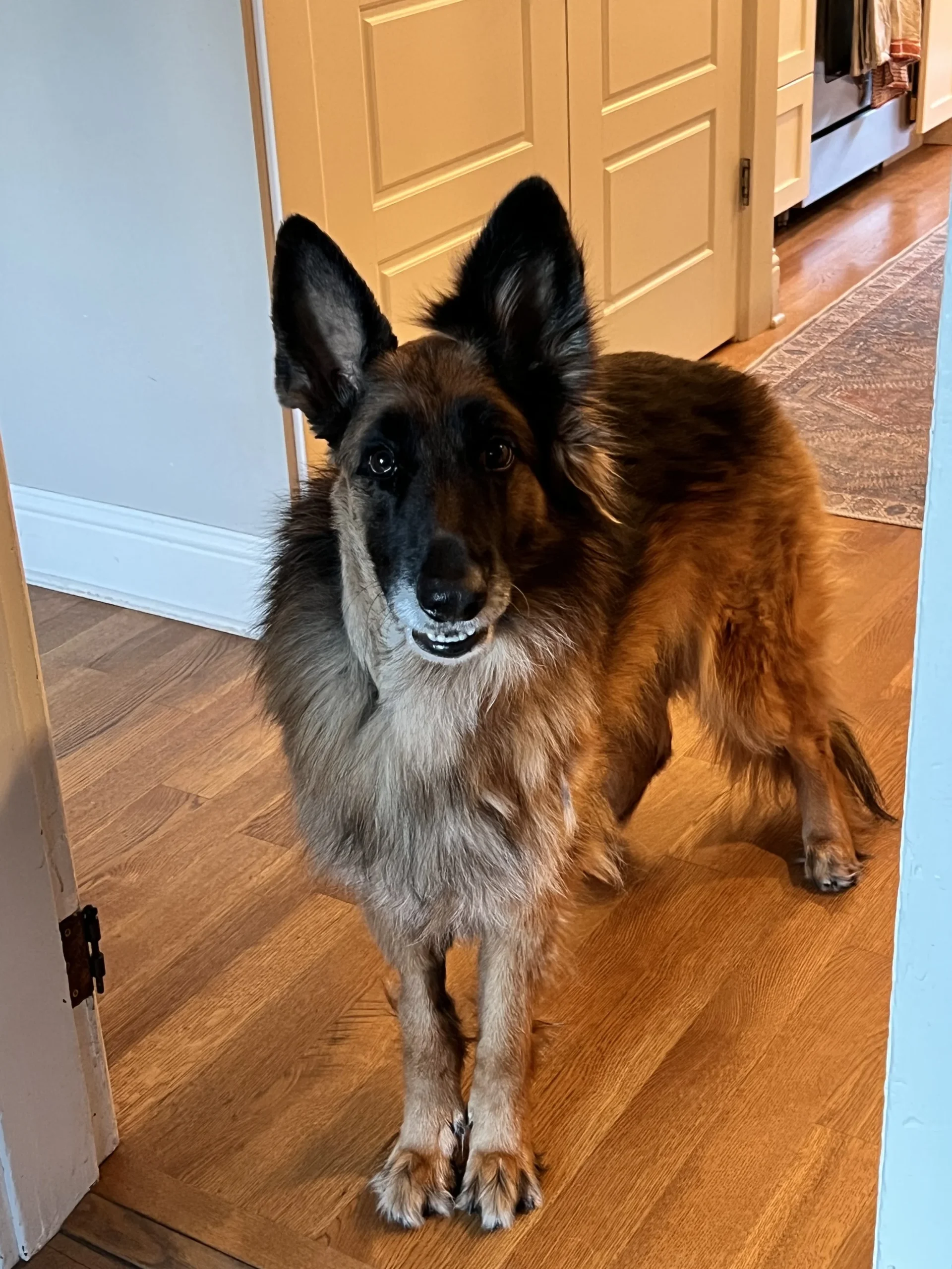 Saying “cheese” with her funny haircut.